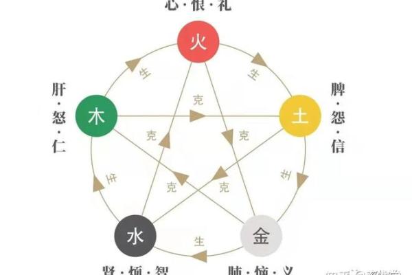 五行格局揭秘：吃对食物，改变性格原来这么简单