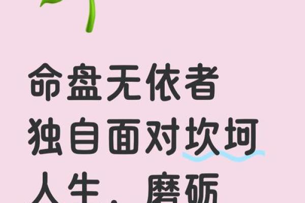命运密码藏在八字中,掌握命理法则改变未来 命运密码藏在八字中,掌握命理法则改变未来
