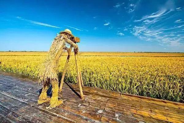 新疆维吾尔族节日与农耕季节的紧密关系