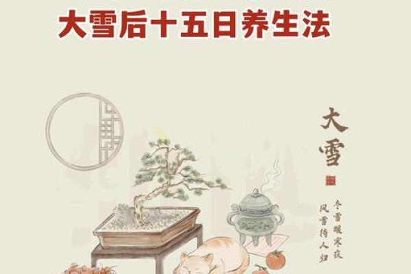 节气如何影响现代生活中的饮食与养生习惯 节气如何影响现代生活中的饮食与养生习惯