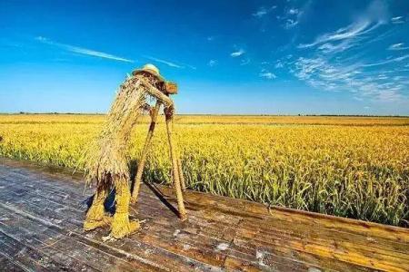 新疆维吾尔族节日与农耕季节的紧密关系