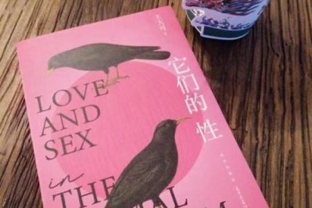 五行格局大揭秘：避开性格误区，实现自我颠覆性成长