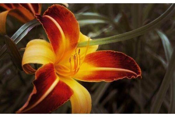 如何改变汽车颜色来提升运势？这些玄机不容忽视