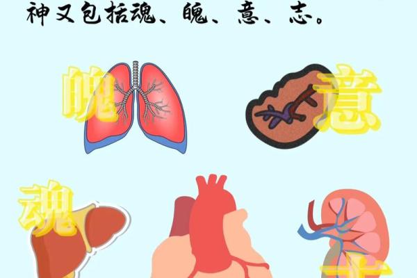 五行反而效应:意想不到的改变,让你的人生焕然一新 五行反而效应:意想不到的改变,让你的人生焕然一新