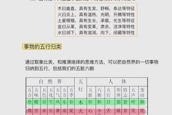 性格解析新视角:十三画木字如何揭示你的内在五行格局 性格解析新视角:十三画木字如何揭示你的内在五行格局