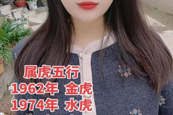 属虎五行格局的误区与突破：颠覆传统认知，提升运势