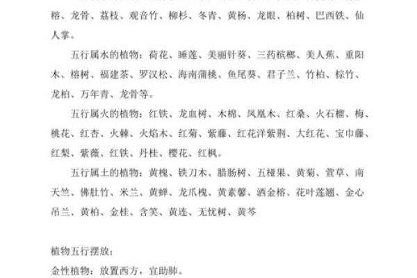 菲的五行属性大揭秘:如何通过性格解析改变人生格局 菲的五行属性大揭秘:如何通过性格解析改变人生格局