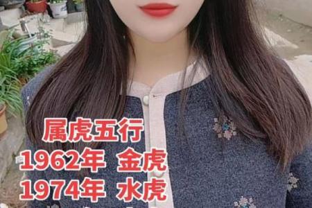 属虎五行格局的误区与突破：颠覆传统认知，提升运势