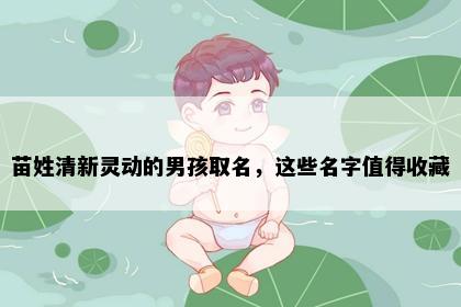 苗姓清新灵动的男孩取名，这些名字值得收藏