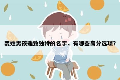 裘姓男孩雅致独特的名字，有哪些高分选项？