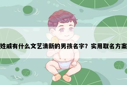 姓戚有什么文艺清新的男孩名字？实用取名方案