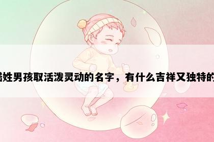 嵇姓男孩取活泼灵动的名字，有什么吉祥又独特的？