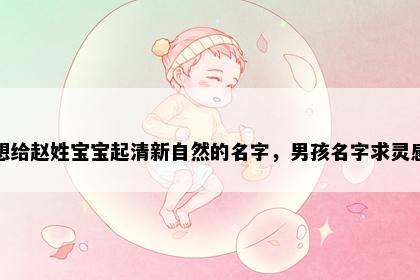 想给赵姓宝宝起清新自然的名字，男孩名字求灵感