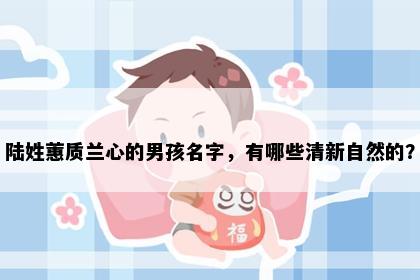 陆姓蕙质兰心的男孩名字，有哪些清新自然的？