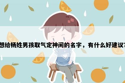 想给杨姓男孩取气定神闲的名字，有什么好建议？